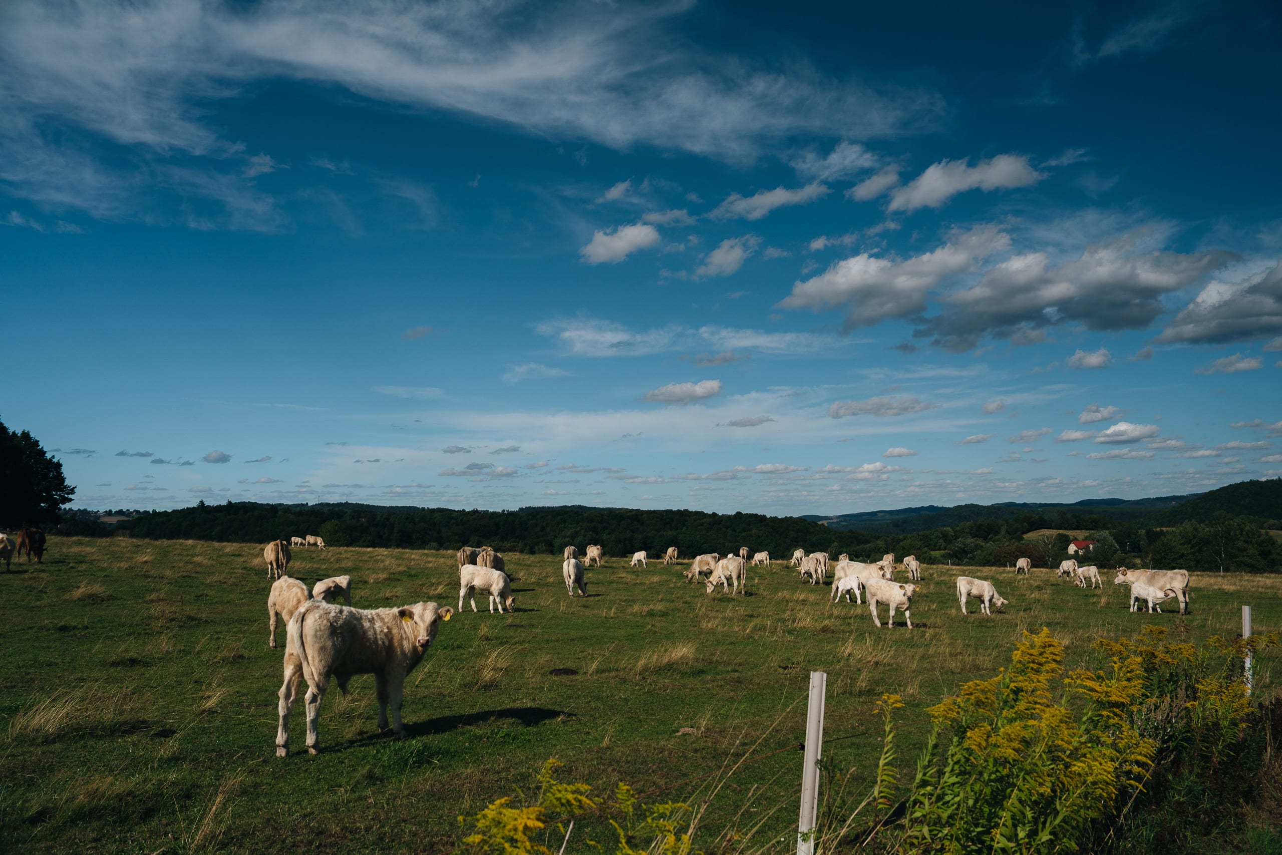 DESCUBRIENDO LA BAJA SILESIA