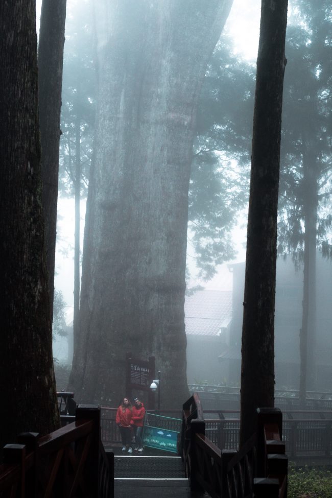 pol_tarres_adventures_taiwan_verticals-25
