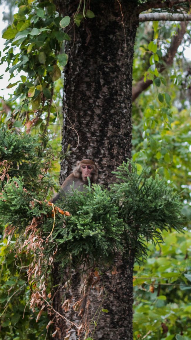 pol_tarres_adventures_taiwan_verticals-32