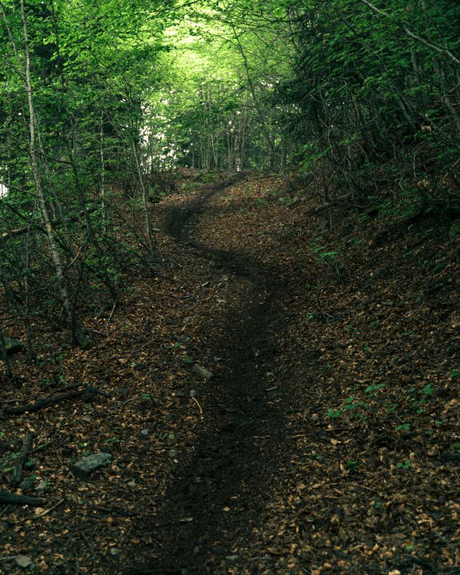 pol_tarres_blog_val_daran-772