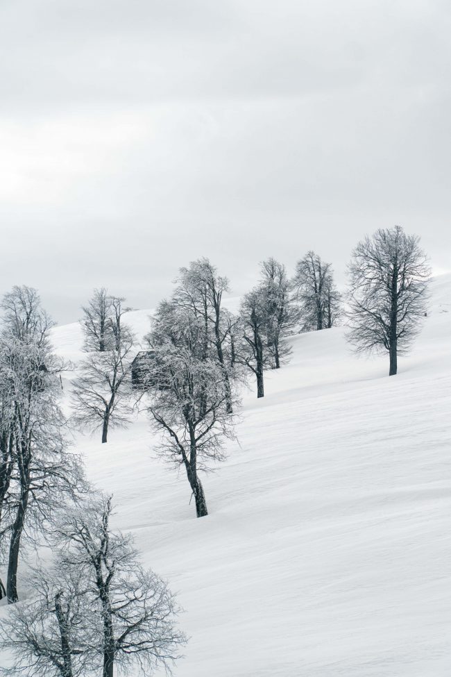 pol_tarres_projects_georgia_ski_2022-90
