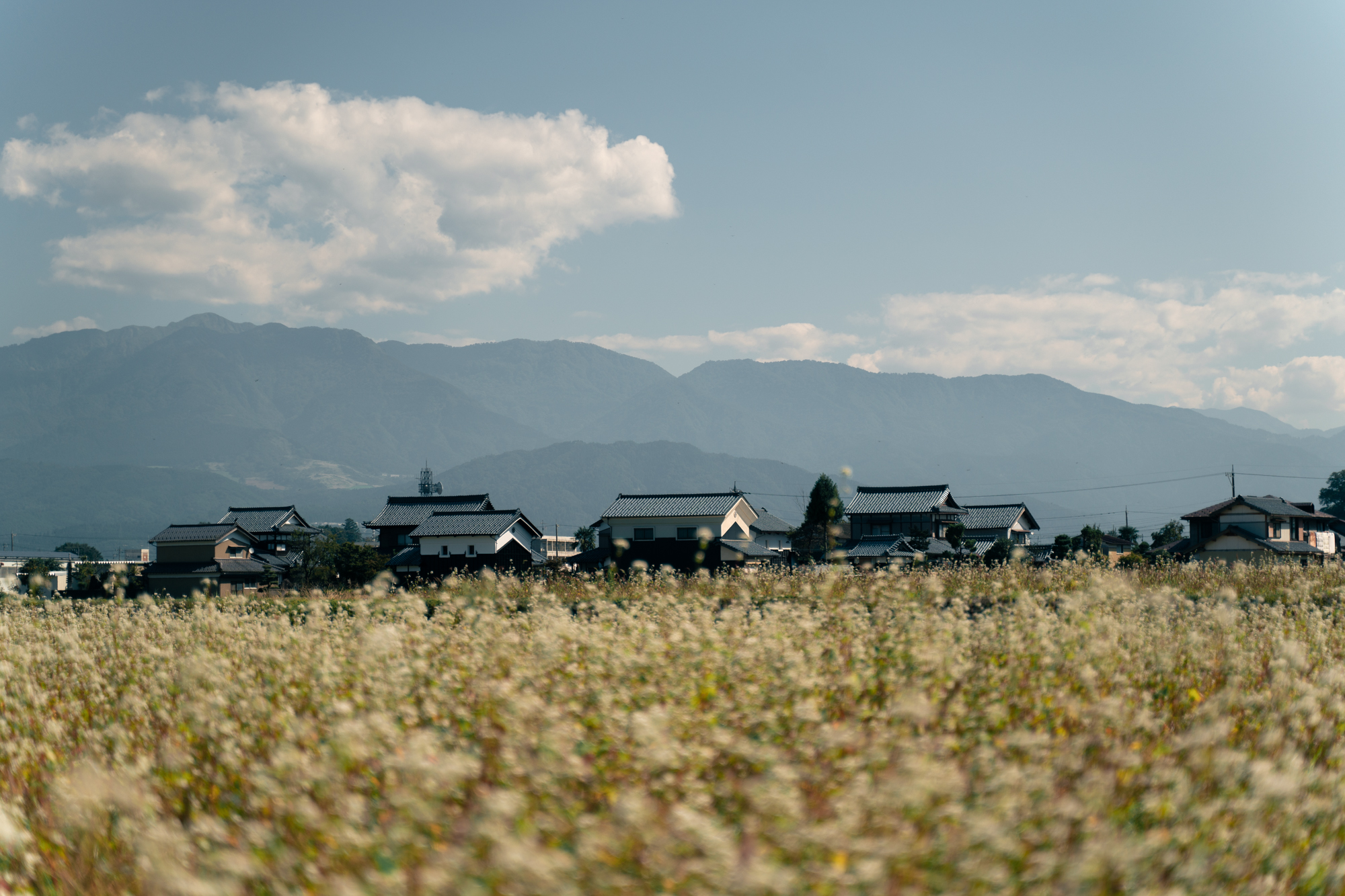 pol_tarres_adventures_bikepacking_japan_day_5_15