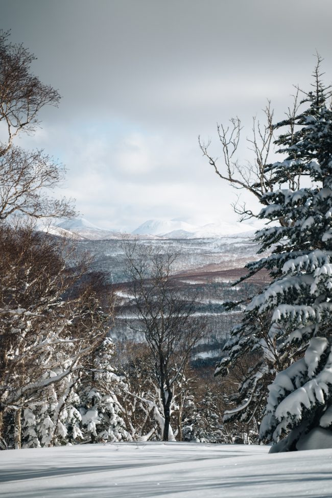 pol_tarres_blog_skiing_hokkaido_66