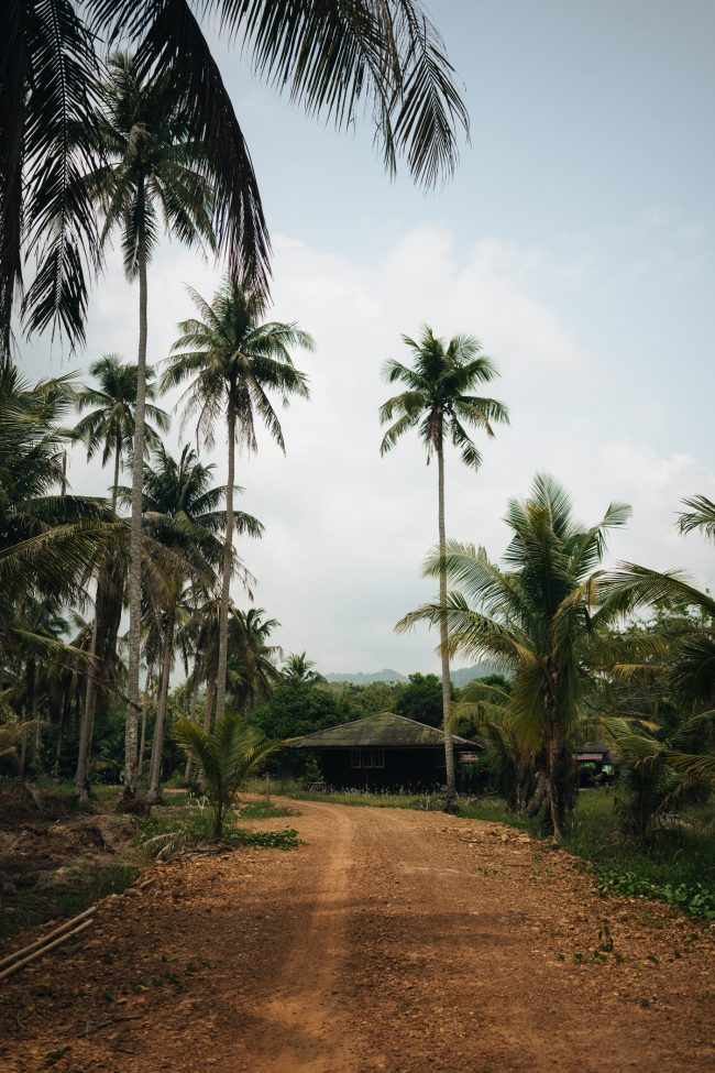 ApperSudio_pol_tarres_bikepacking_to_paradise_thailand_1060